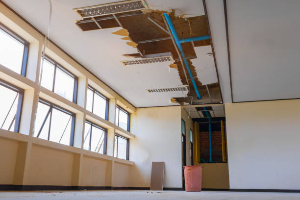 Carpet water damage restoration in IN