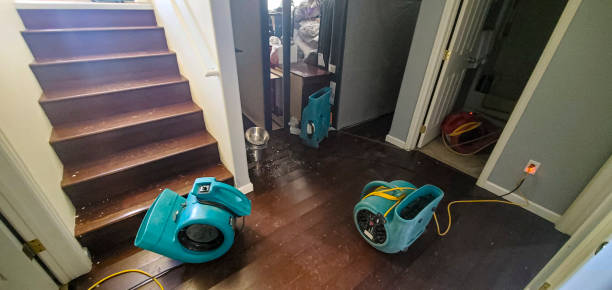 Best Mold removal after water damage  in North Judson, IN