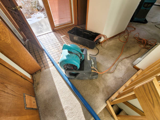 Best Water damage contractors near me  in North Judson, IN