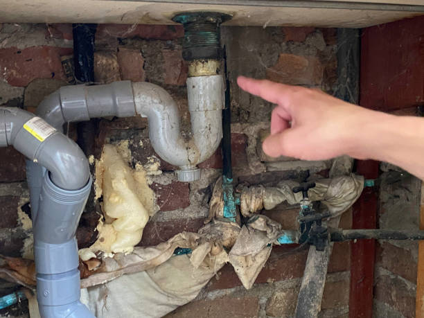 Best Sewage cleanup and water damage restoration  in North Judson, IN